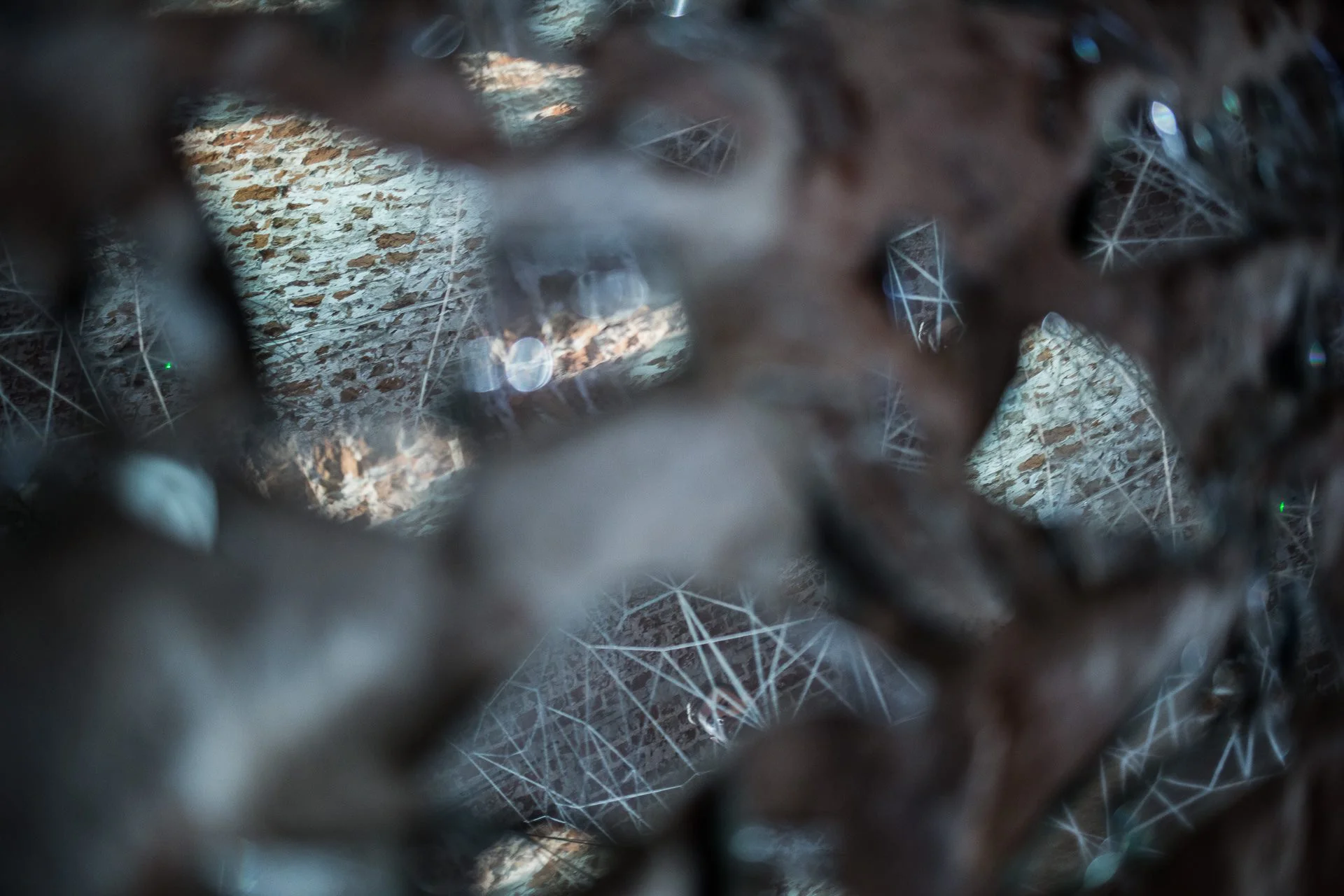 Frame 13